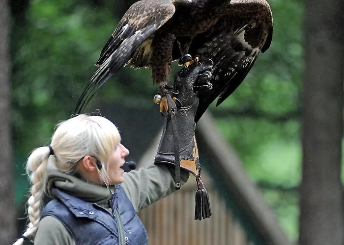 Schoene „zum Glueck“ * Eisenach