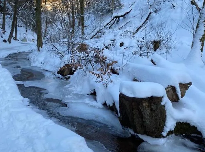 Schoene „zum Glueck“ Appartement